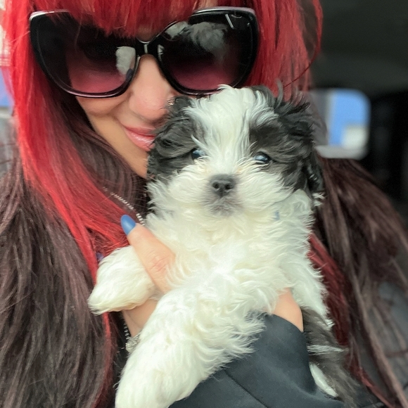 Meet your Posher, TC - Picture 6 of 12